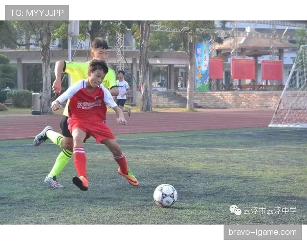 瑞士足球再创辉煌：历史性闯入八强背后的突破与未来展望